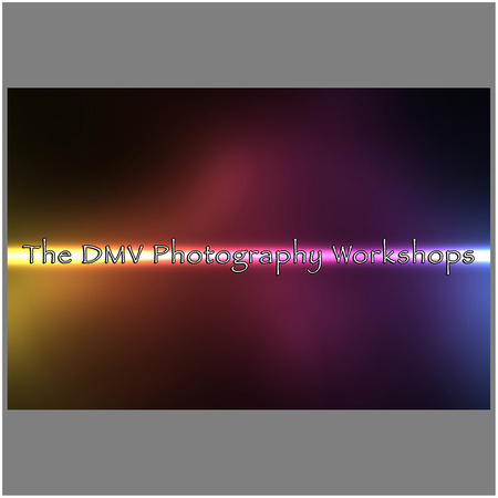 TDMVPW_Logo_Web_Sq