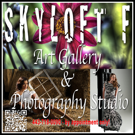 Skyloft F Gallery and Photo Studio_Web