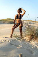 _MSP0379_Raw